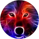 Thomas Kotris profile picture